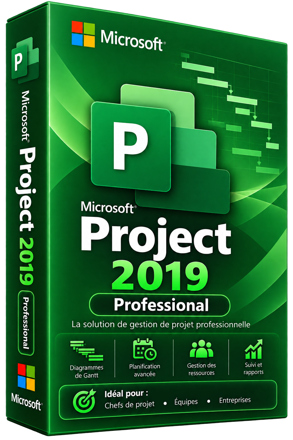Microsoft Project 2019 Pro – Official Lifetime License