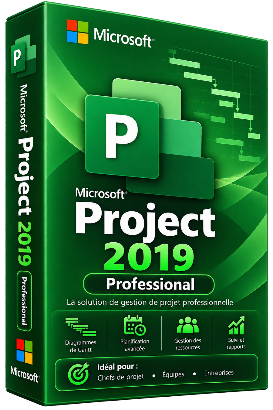 Microsoft Project 2019 Pro – Licence Officielle à Vie