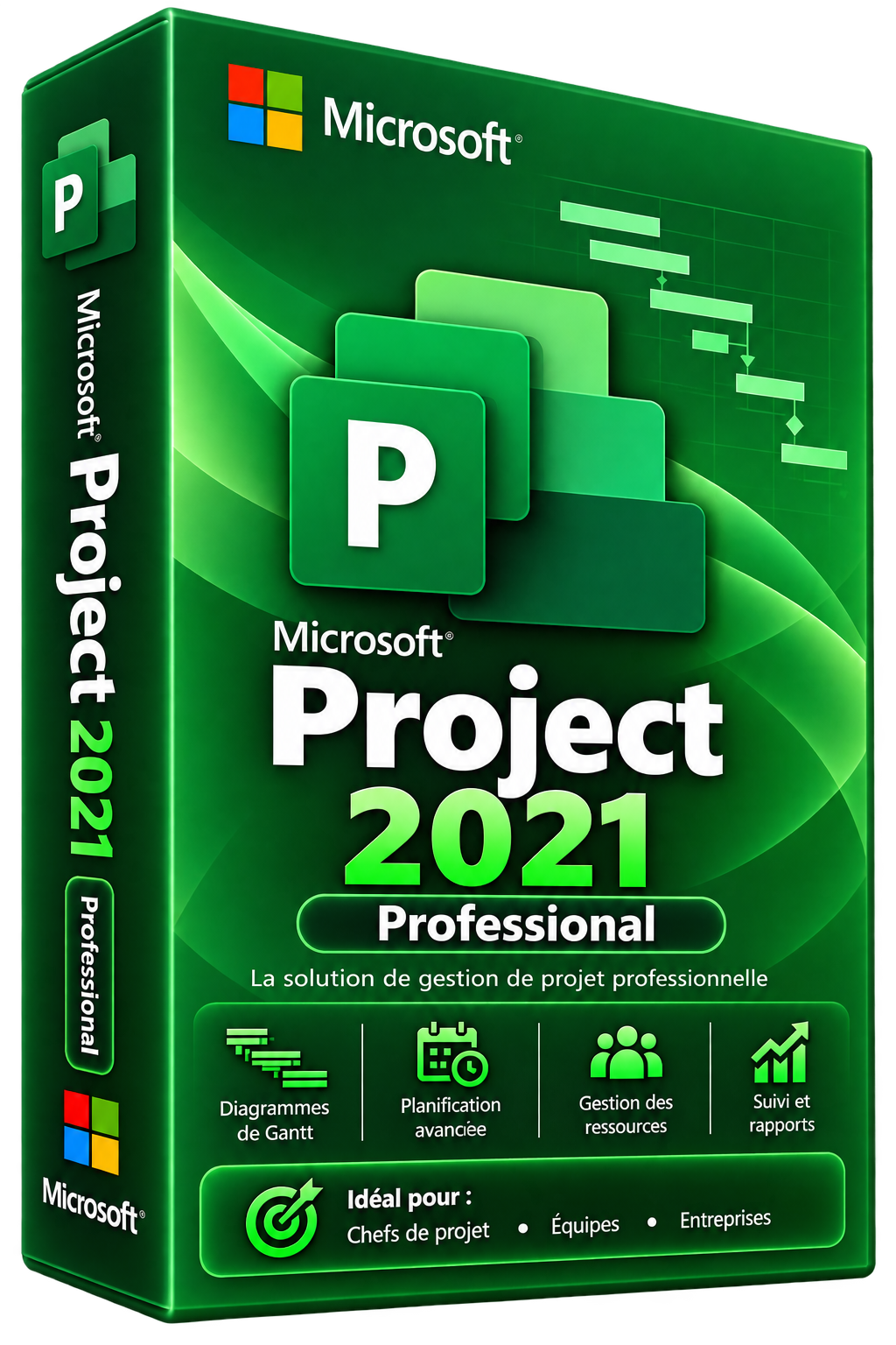 Licence Microsoft Project 2021 Professionnel
