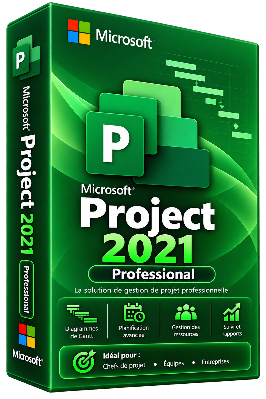 Licence Microsoft Project 2021 Professionnel