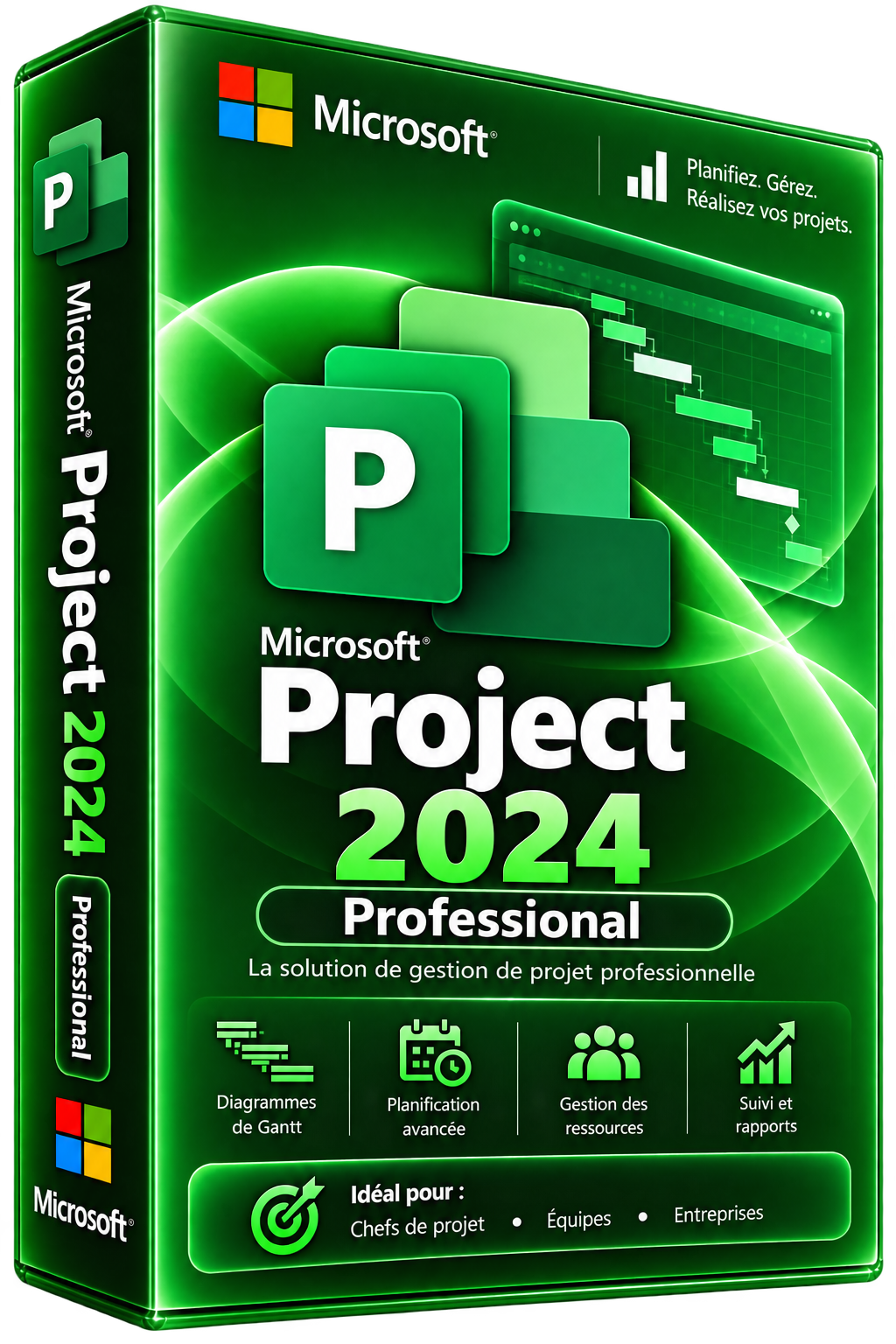 Licence Microsoft Project 2024 Professionnel