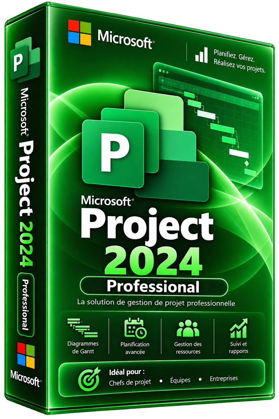 Licence Microsoft Project 2024 Professionnel